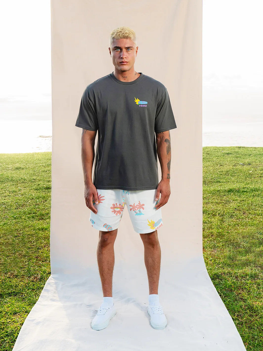 Temples Tee Charcoal