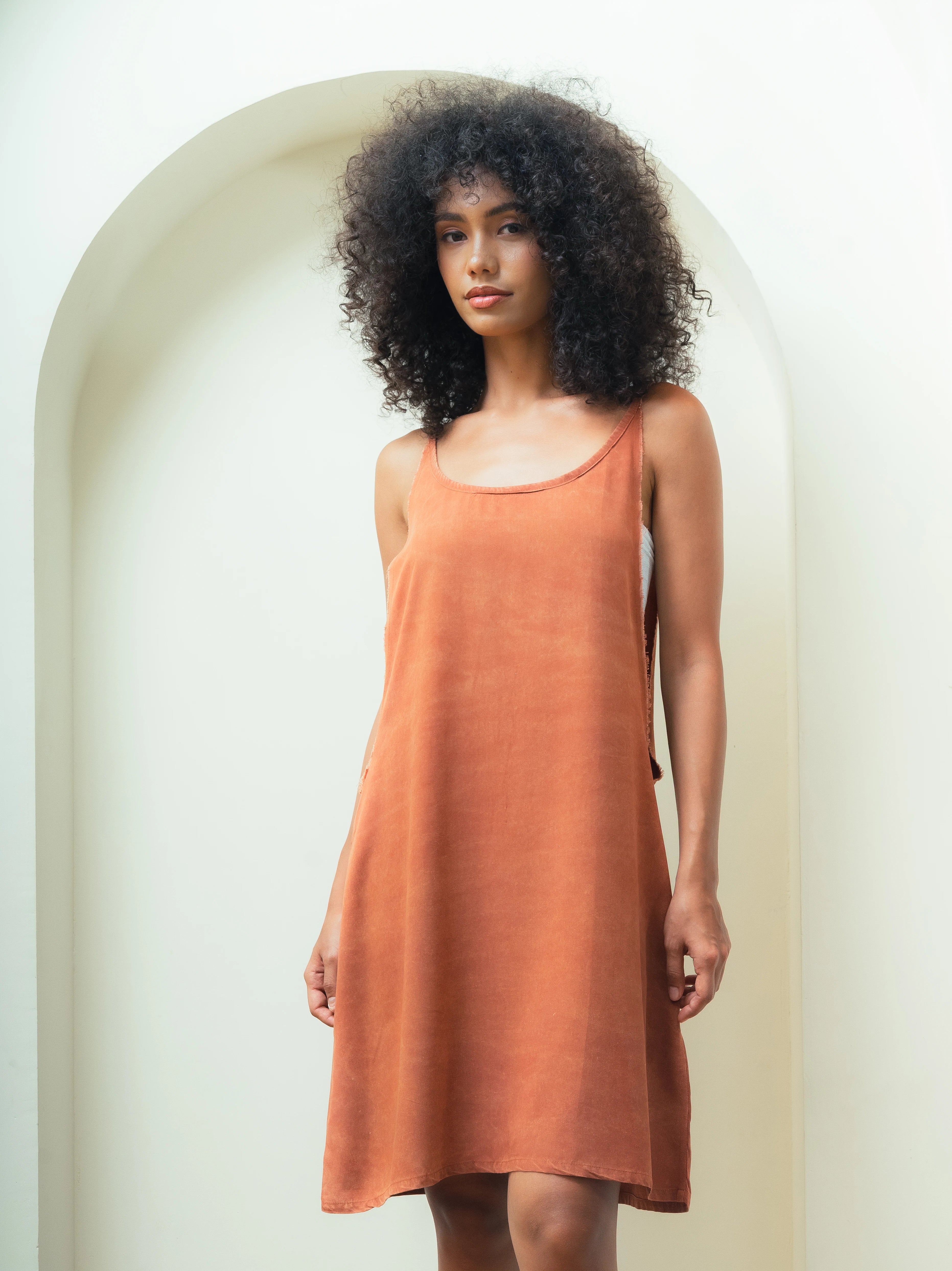Sandpiper Dress Brown