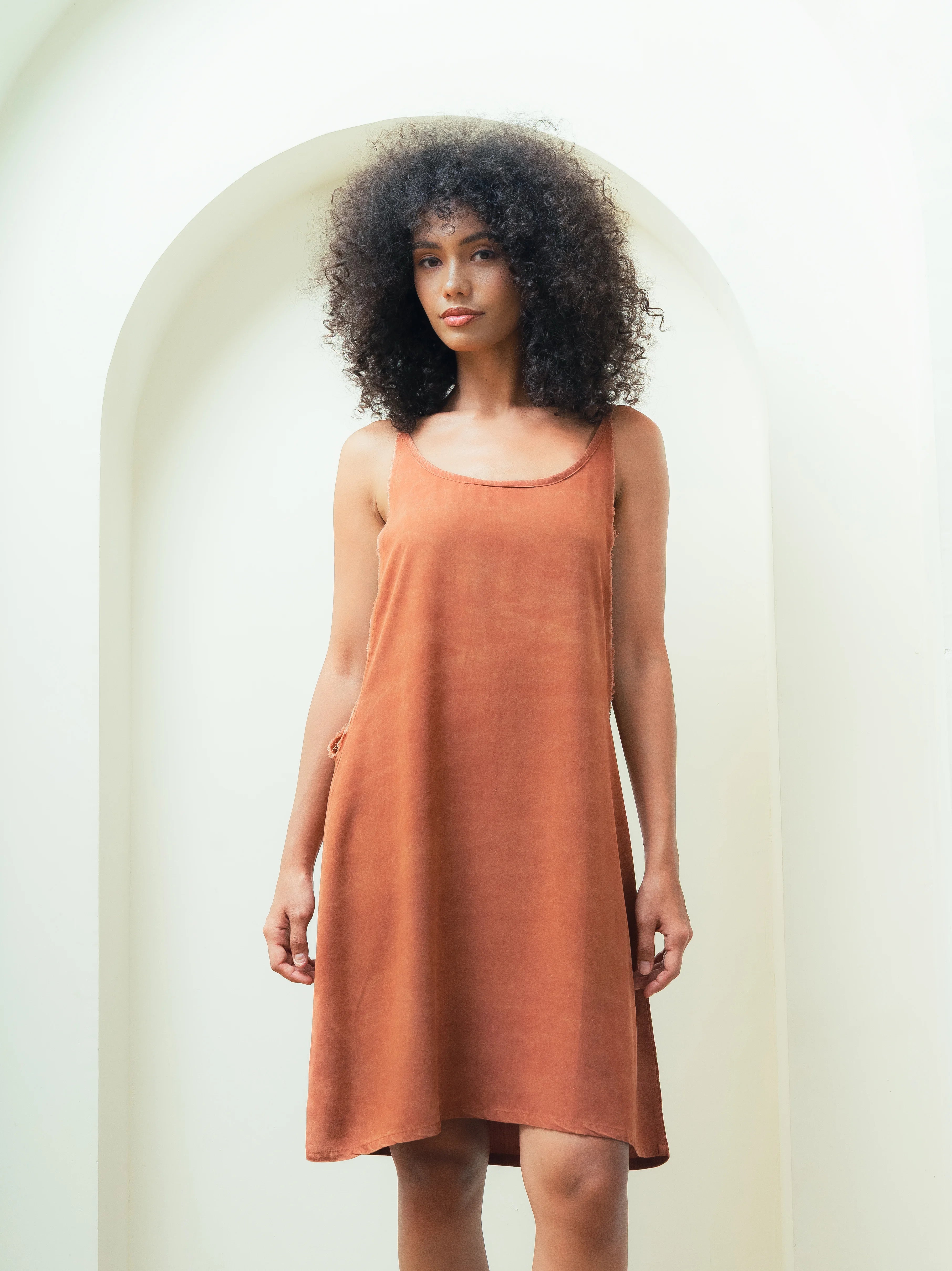 Sandpiper Dress Brown