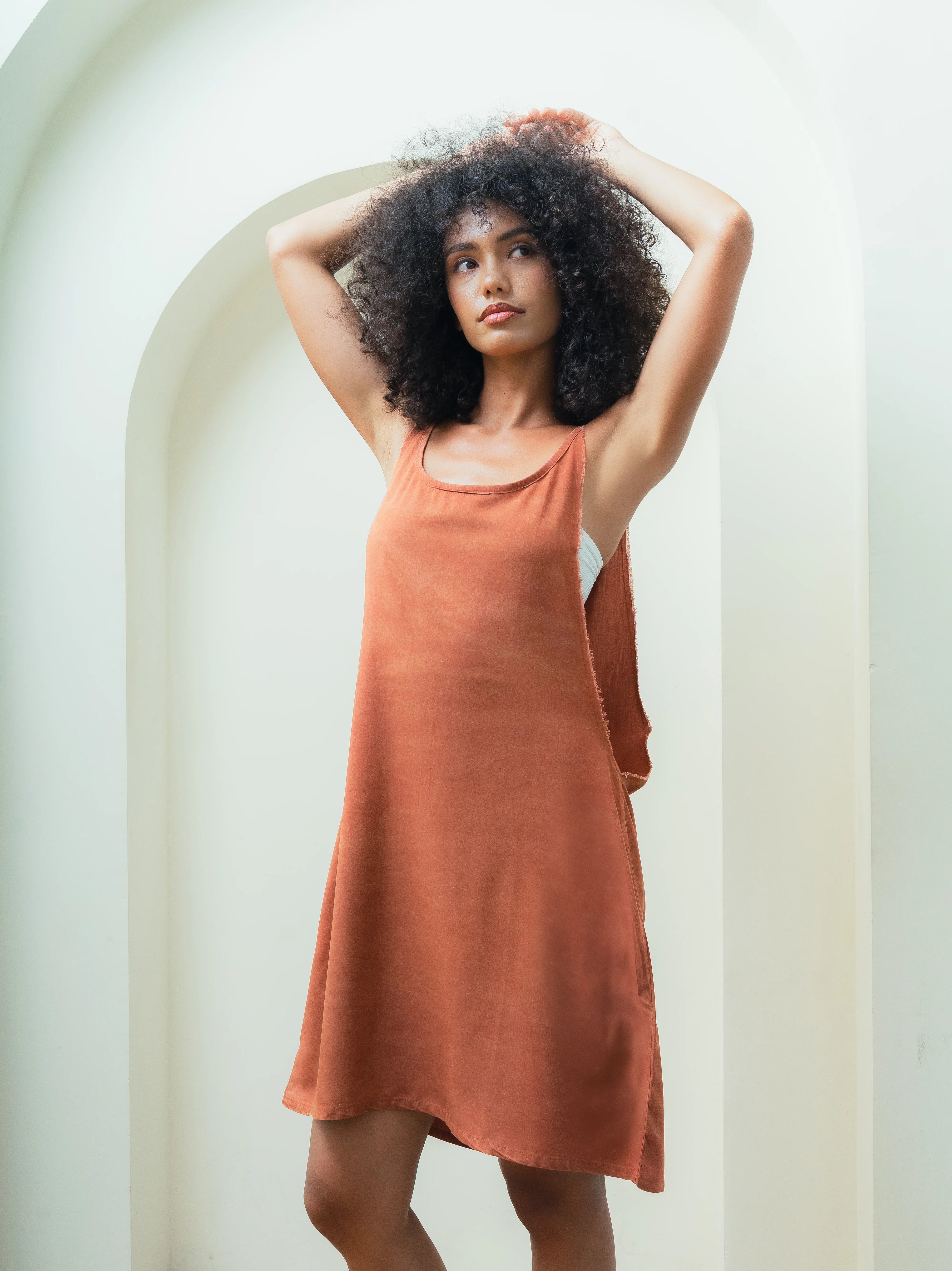 Sandpiper Dress Brown